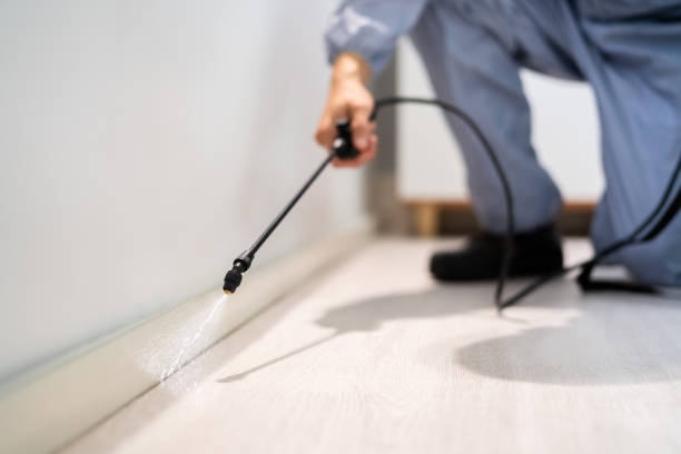 Licensed Termite Control service in North Granby, CT - Nex Pest Control
