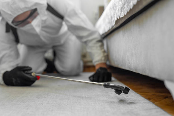 Professional Termite Control technician working in North Granby, CT