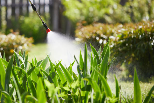 24/7 Emergency Termite Control experts in North Granby, CT