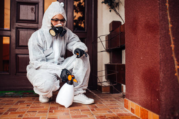 Reliable Termite Control contractor in North Granby, CT by Nex Pest Control