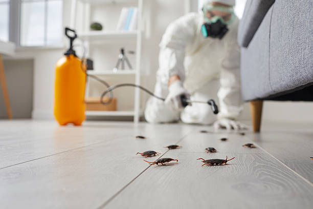 Trusted Emergency Pest Control service in North Granby, CT - Nex Pest Control